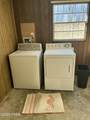501 Camelia St Street - Photo 13