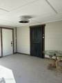 501 Camelia St Street - Photo 15