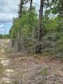 TBD Pilgrim Rest Church Road - Photo 1