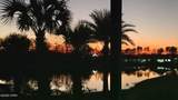 8528 Margaritaville Boulevard - Photo 48