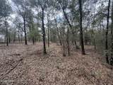 000 Birwood Court - Photo 4