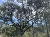 0000 Lavon Road - Photo 9