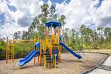 9916 Summer Creek Drive - Photo 11