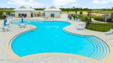 7010 William Pitsenbarger Road - Photo 62