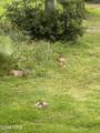 0000 13th Street - Photo 19