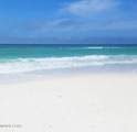 17462 Front Beach - Photo 41