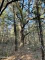 0000 Bent Oaks Road - Photo 16