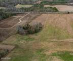TBD Hwy 90 - Photo 2