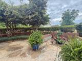 3187 4th Street - Photo 52