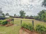 3187 4th Street - Photo 59