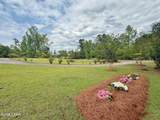 3187 4th Street - Photo 66
