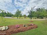 3187 4th Street - Photo 67