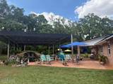 3761 Highway 231 - Photo 13