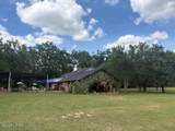 3761 Highway 231 - Photo 15