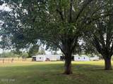 3761 Highway 231 - Photo 16