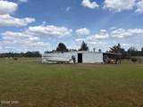 3761 Highway 231 - Photo 32