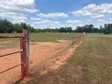 3761 Highway 231 - Photo 33