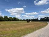 3761 Highway 231 - Photo 35