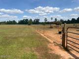 3761 Highway 231 - Photo 37