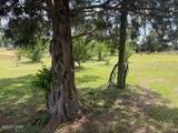 3761 Highway 231 - Photo 38