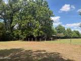 3761 Highway 231 - Photo 6