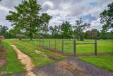 3256 Highway 77 - Photo 49