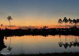 8674 Weekend Drive - Photo 79