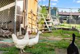 11214 Stone Road - Photo 21
