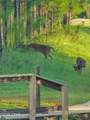 106 Calmwater Circle - Photo 26