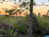 117 Fossil Falls - Photo 13