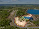 14737 Bream Pond Drive - Photo 4