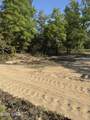 516 Goshun Creek Road - Photo 11