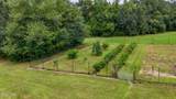 3754 Annie Road - Photo 34