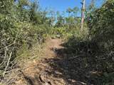 0 County Rd 30A - Photo 5