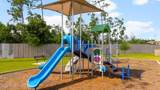 3111 Rachel Place - Photo 35