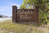 2917 Palmetto Ridge Way - Photo 34