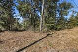 9203 Lake Forest Drive - Photo 14