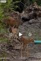 0000 13th Street - Photo 20
