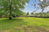 7432 Brewster Street - Photo 38