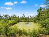 11214 Stone Road - Photo 9