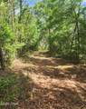 6405 Highway 77 - Photo 10