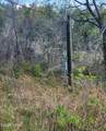6405 Highway 77 - Photo 13