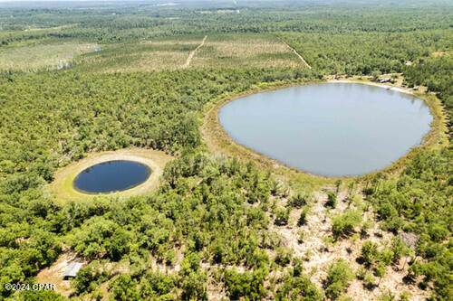 0000 Pittman Hill Road - Photo 1