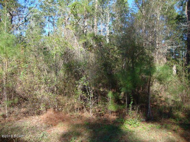 4982 Millers Ferry Road - Photo 1