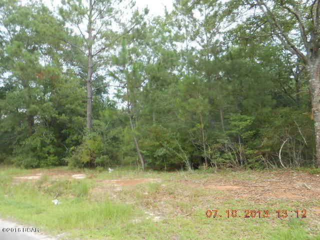 000 Shade Tree Lane - Photo 1