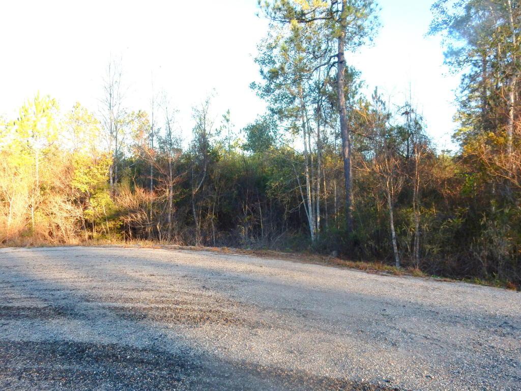 XXX Brooks Drive - Photo 1
