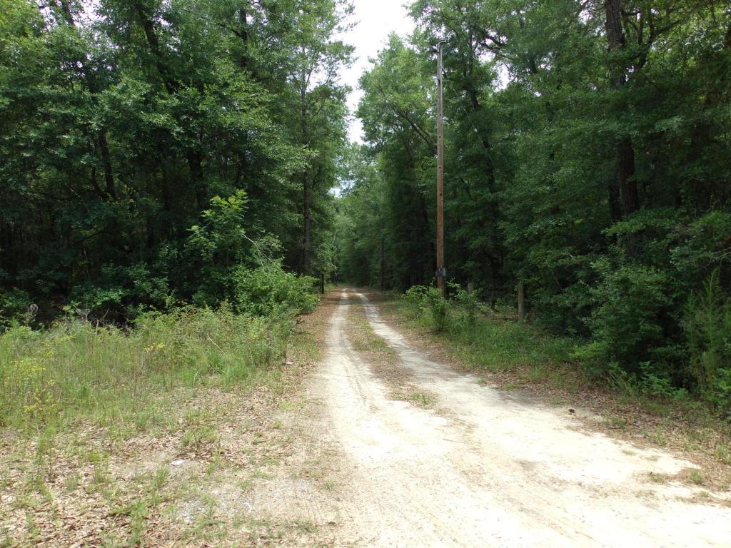 5254 Choctaw Road - Photo 1