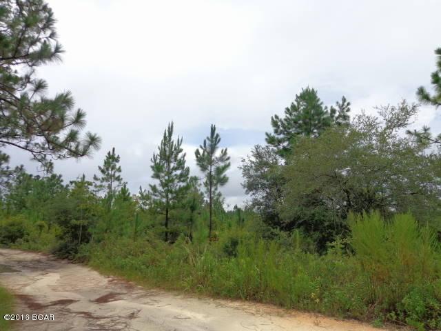 0 Pawnee Road - Photo 1