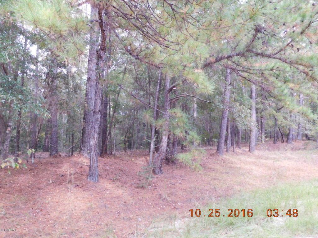 00 Pitts Road - Photo 1