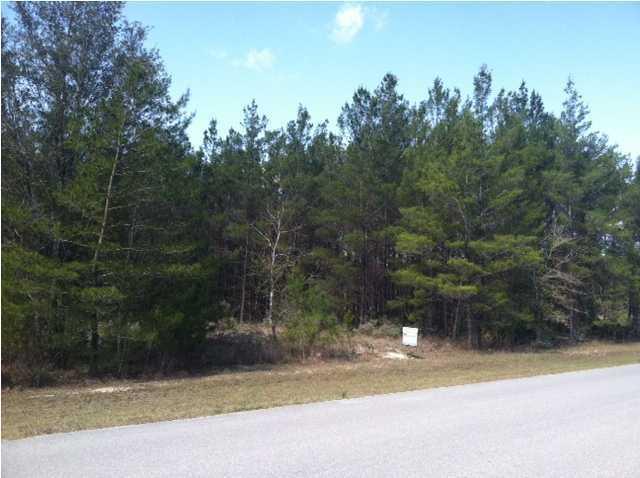 1833 White Western Lake Lane - Photo 1